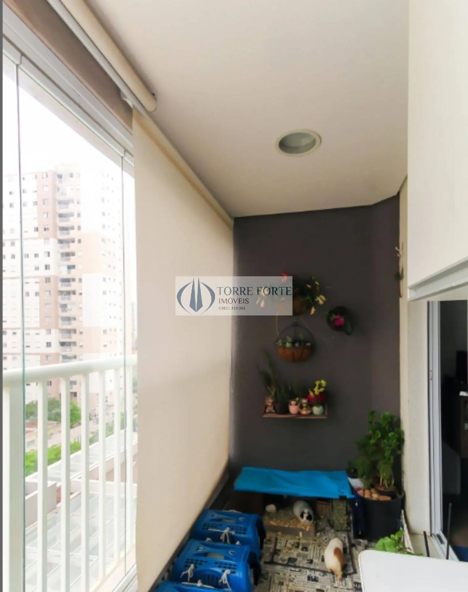 Imagem Lindo Apartamento com 1 dormitorio 1 vaga , varanda no Belenzinho