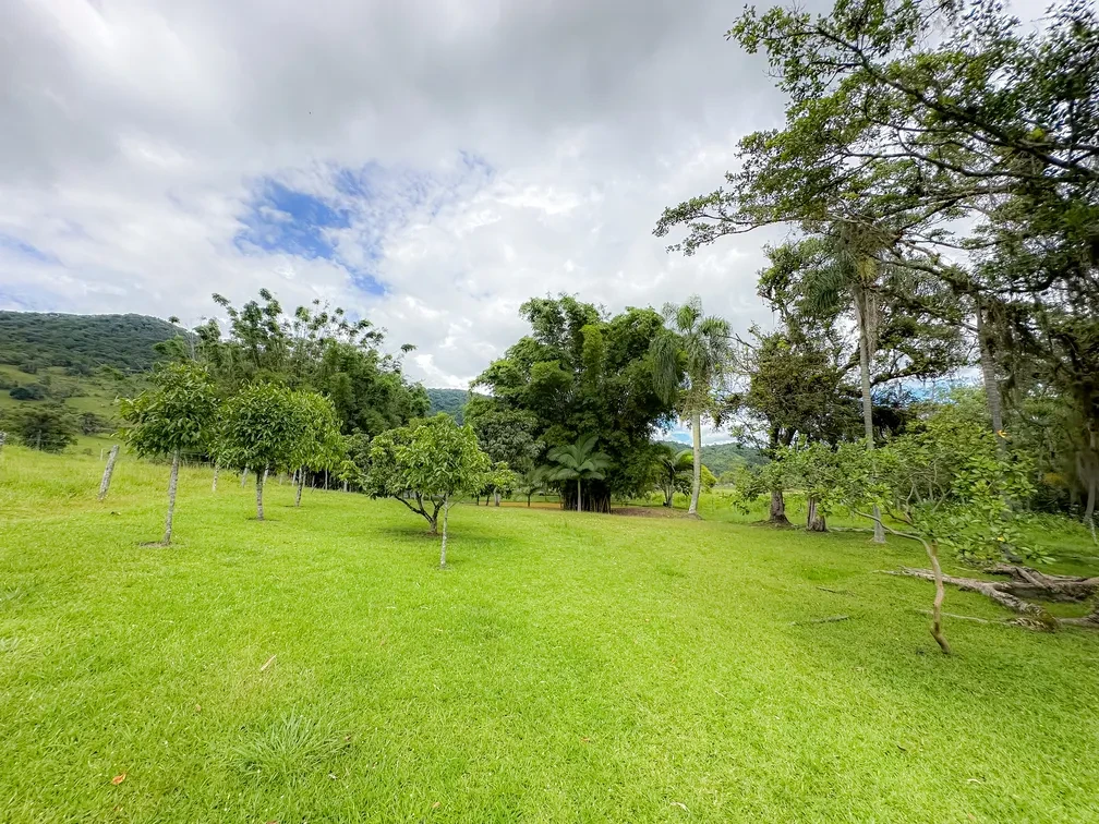 Imagem Chácara com 3 Quartos à Venda, 15595 m² em Área Rural de Camboriú - Camboriú