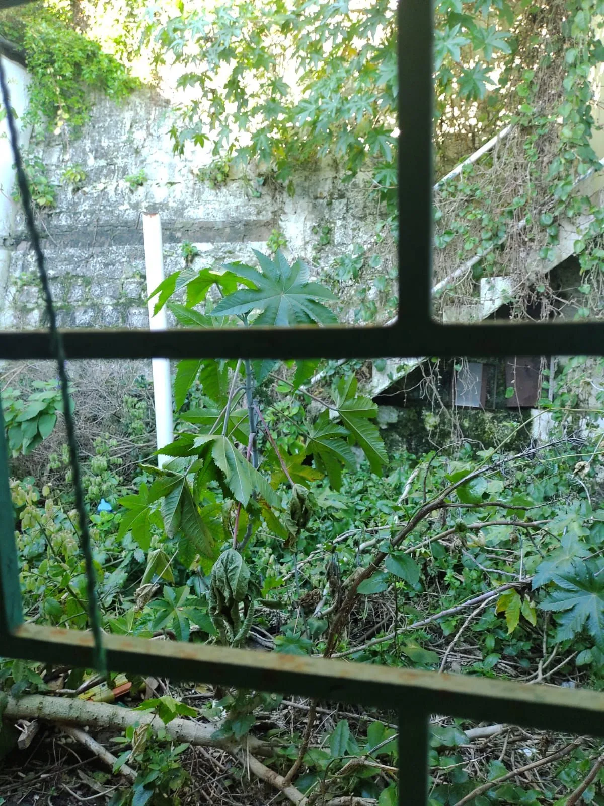 Imagem Casa em Jardim São Pedro