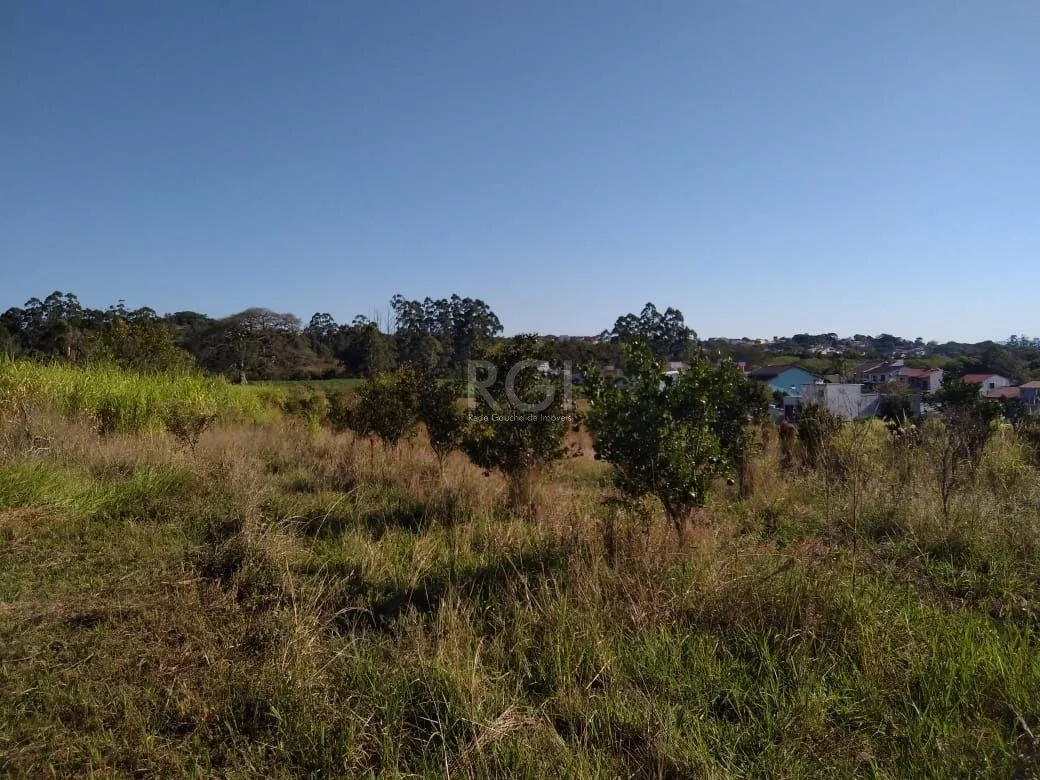Imagem Area para Venda - 36.900m² - Campo Novo