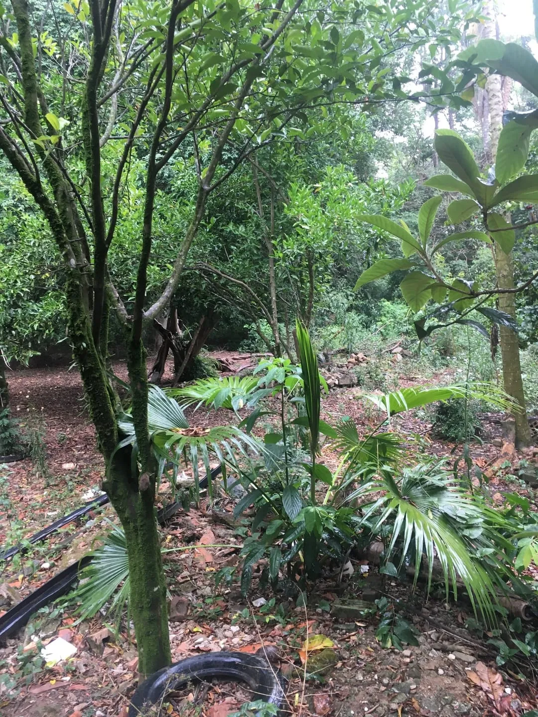 Imagem Terreno à venda 9 Quartos, 29773.51M², Bela Vista, Pindamonhangaba - SP