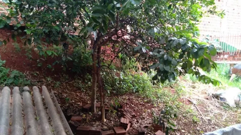 Imagem Casa para Venda em Maringá / PR no bairro Jardim Diamante