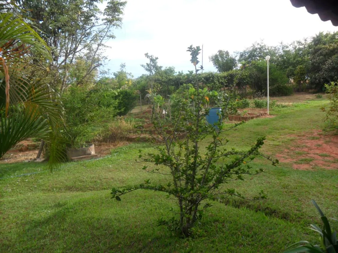 Imagem Vendo um ótimo sítio em Igarapé / Mg , Portal Serra Azul, com 20.000 m² de terra