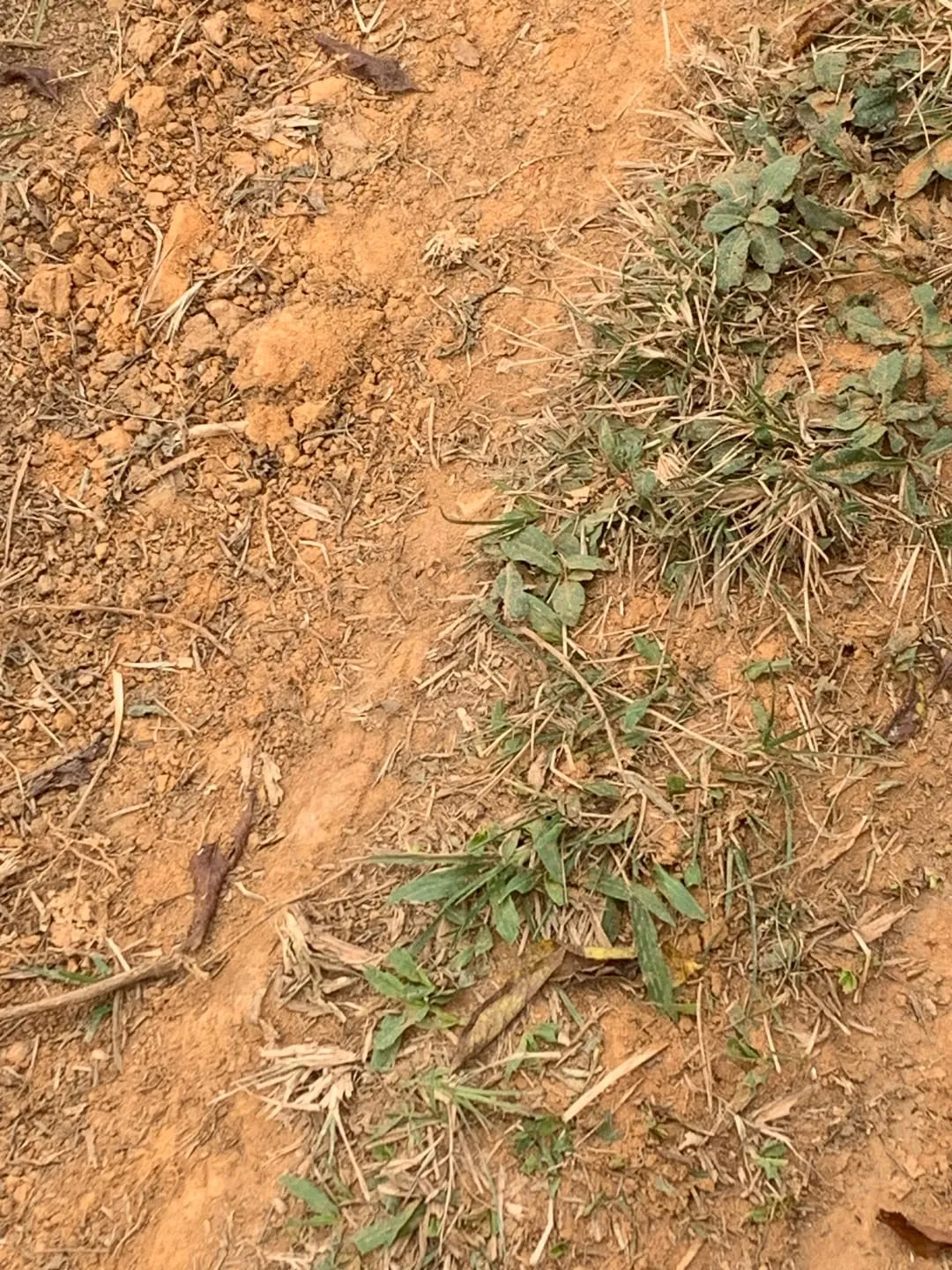 Imagem Terreno à venda 30000M², Mandú, Pindamonhangaba - SP