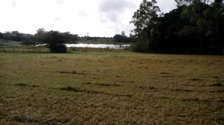 Sitio com 5.536m², mata nativa, Lagoa nos fundos, Águas Claras/ Viamão