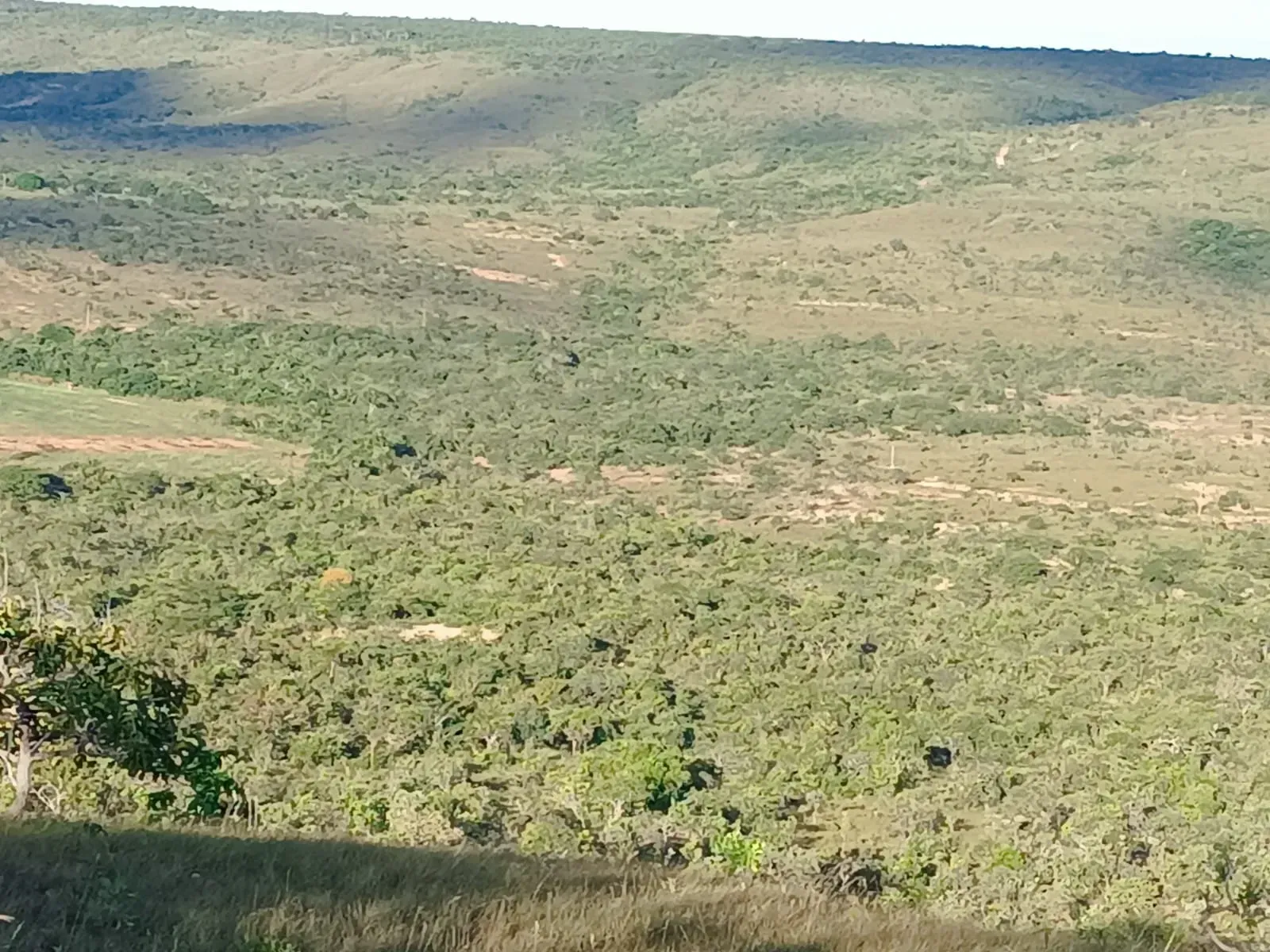 Imagem Fazenda à Venda, 247 HA em Samambaia Sul - Brasília