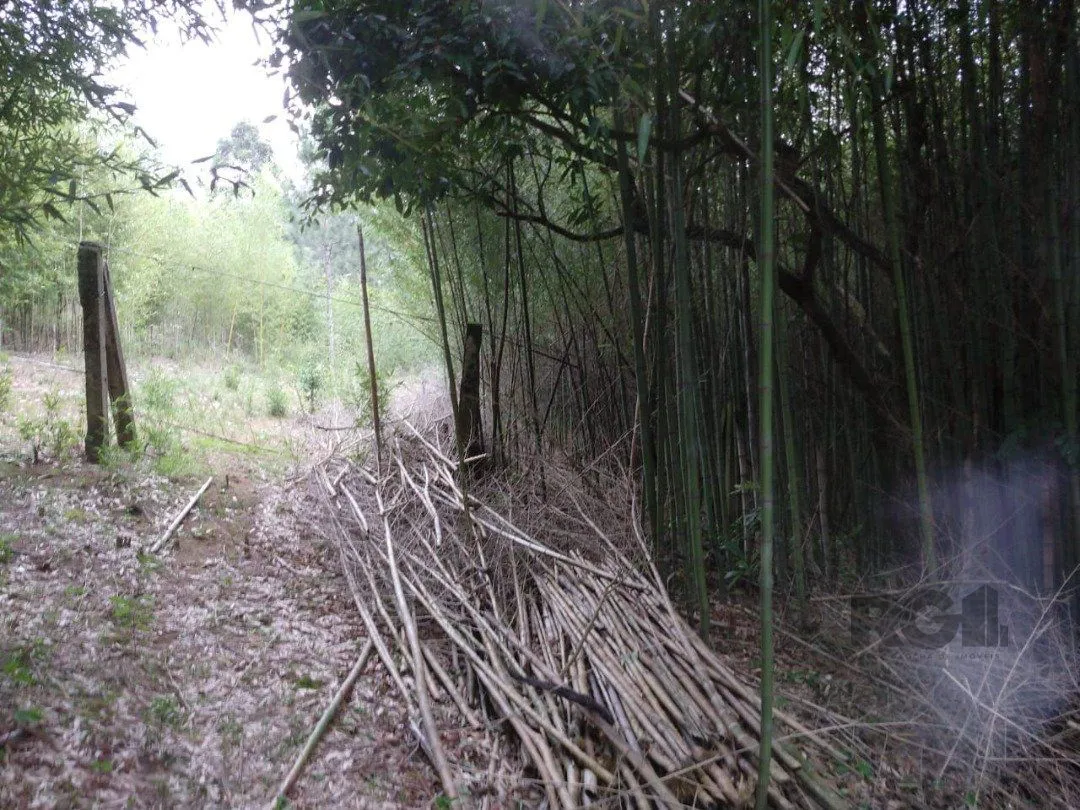 Imagem Área 4,69ha | Bairro Belém Velho