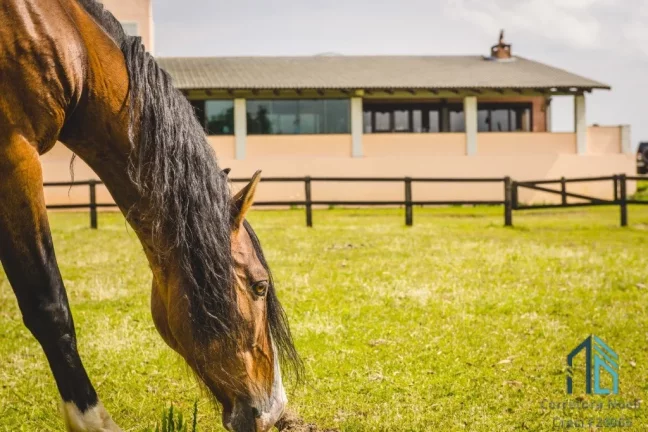 Imagem Sítio/Haras com 52,00 área e 3.000m² área construída, Barracões, 6 casas de funcionários, 29 cocheiras, em Tijucas do Sul - PR