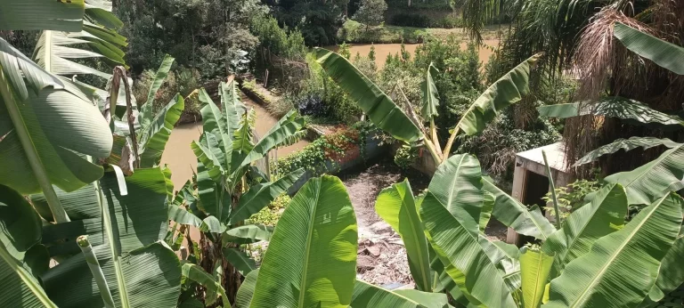 Imagem Chácara em Jardim Rondinha, Campo Largo/PR