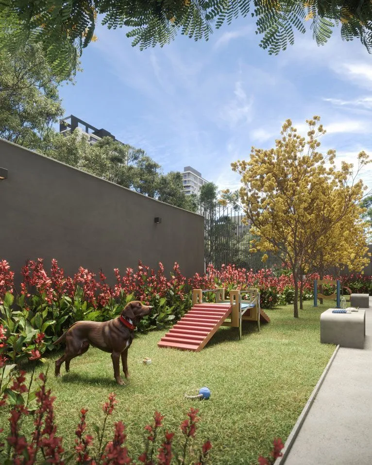 Imagem Today Paraíso - Residencial - Breve Lançamento - Today Paraíso - Residencial