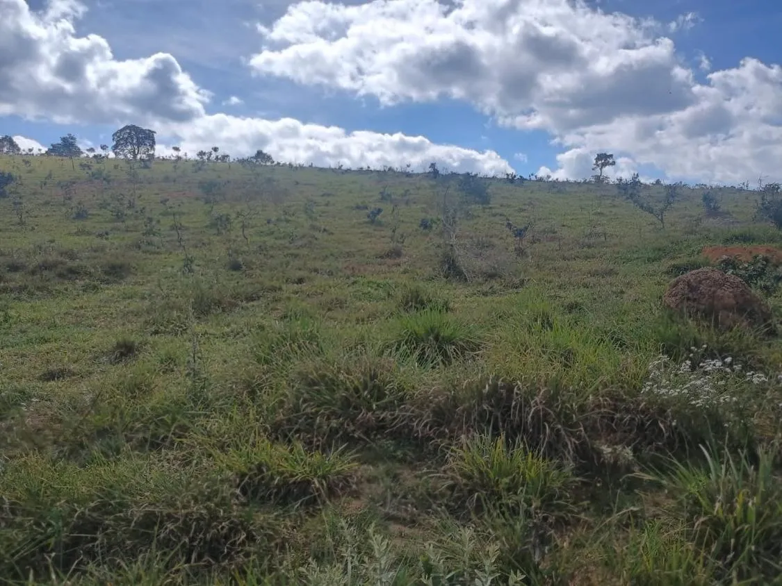 Imagem Excelente terreno rural com área de 10 hectares a venda em PASSA TEMPO/MG