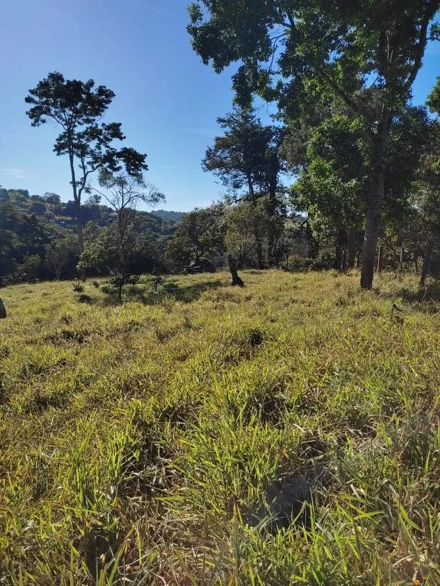 Imagem FAZENDINHA À VENDA - RIO MANSO (MG) 43 hectares de terra