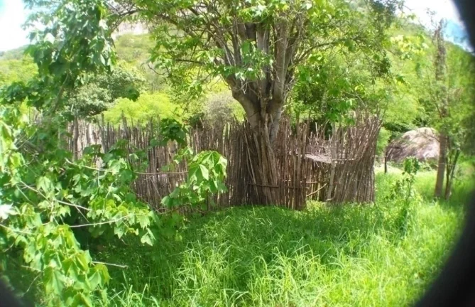 Imagem Venda terreno em carapotos