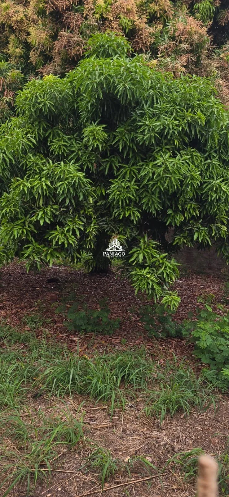 Imagem TERRENO À VENDA NO BAIRRO JARDIM DAS AMÉRICAS CUIABÁ/MT