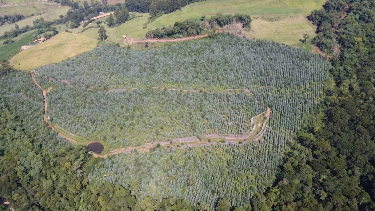 Imagem Terreno para Venda em Jaborá, Interior