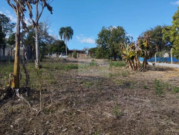 Imagem TERRENO JARDIM CANANÉIA