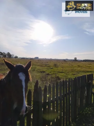 Imagem Chácara para Venda em Quinta Rio Grande-RS - 1381