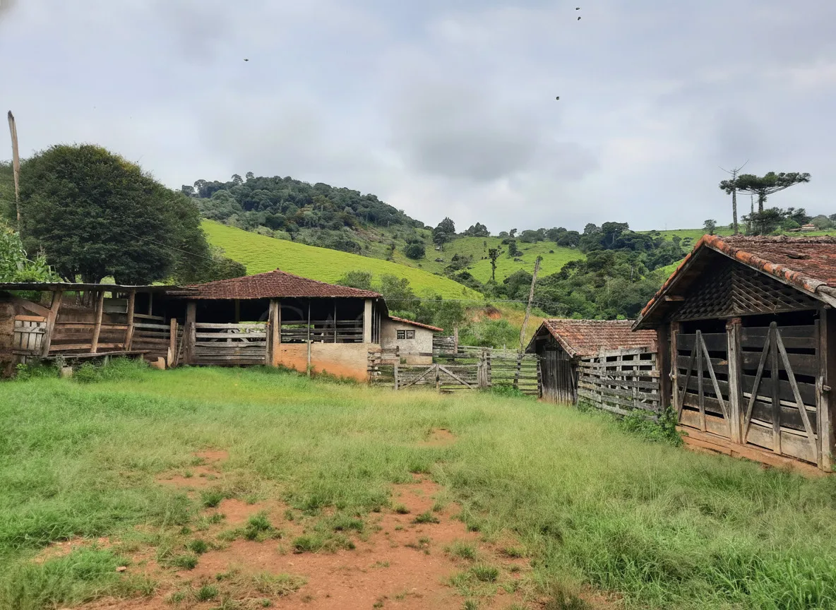 Imagem Sítio 52,64 ha à venda em Figueira, Caldas