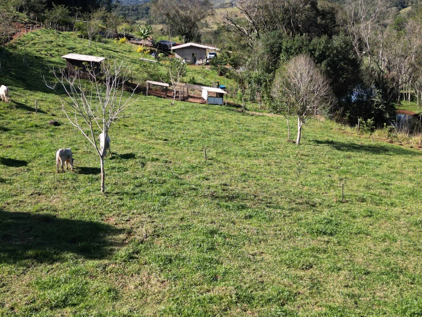 Imagem Chácara à venda em Lindoeste, 9 Km do Centro - 150m² - Piscina, Rio, Lago para pesca
