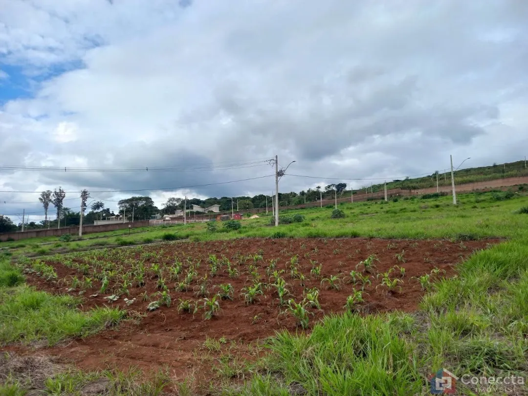 Imagem Terreno à venda, 364 m² por R$ 275.000,00 - Alto dos Caiçaras - Patos de Minas/MG