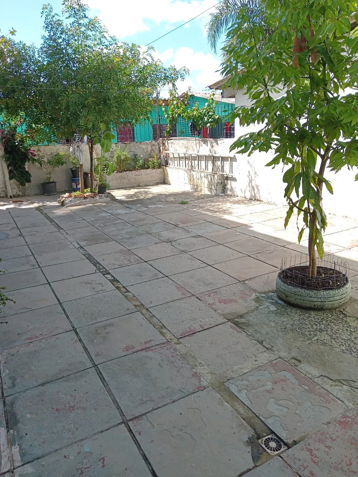 Imagem Casa em Restinga