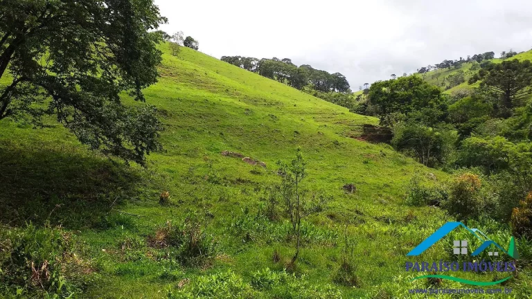 Imagem Paraíso Ecológico: Terreno com Nascente Própria e Vista Panorâmica.