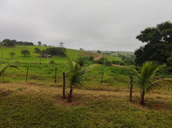 Imagem Sítio de alqueires 1.2 na Prata em Aracatuba tem opção de 4. 5 e de 2.4 alq