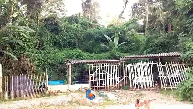 Foto do imóvel CHÁCARA À VENDA, COM 2.438 METROS COM POMAR EM PRODUÇÃO, COM RUA ASFALTADA E ILUMINAÇÃO E FARTO TRANSPORTE - MANTIQUEIRA, MAIRIPORÃ em Rua do Brilhante