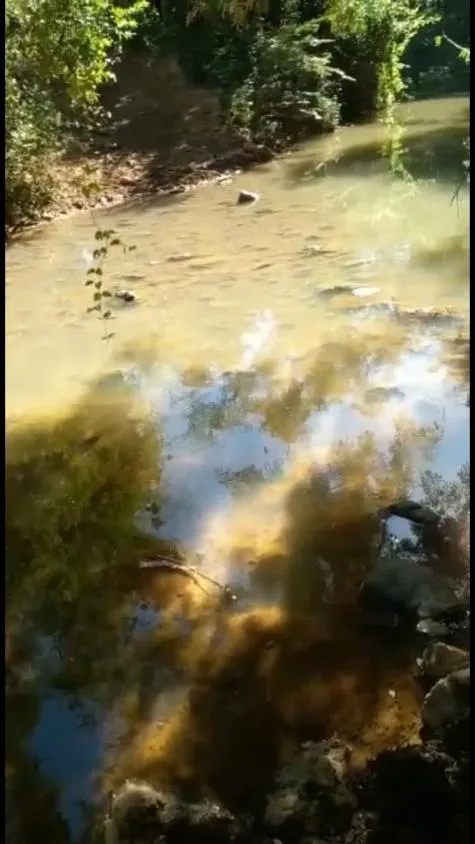 Imagem FAZENDA DE ALTO PADRÃO À VENDA - SUL DE MINAS 1.488 hectares de área total