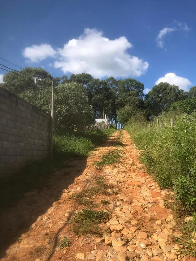 Imagem Vendo uma linda chácara na divisa de Igarapé / Mateus Leme, com 500 m²