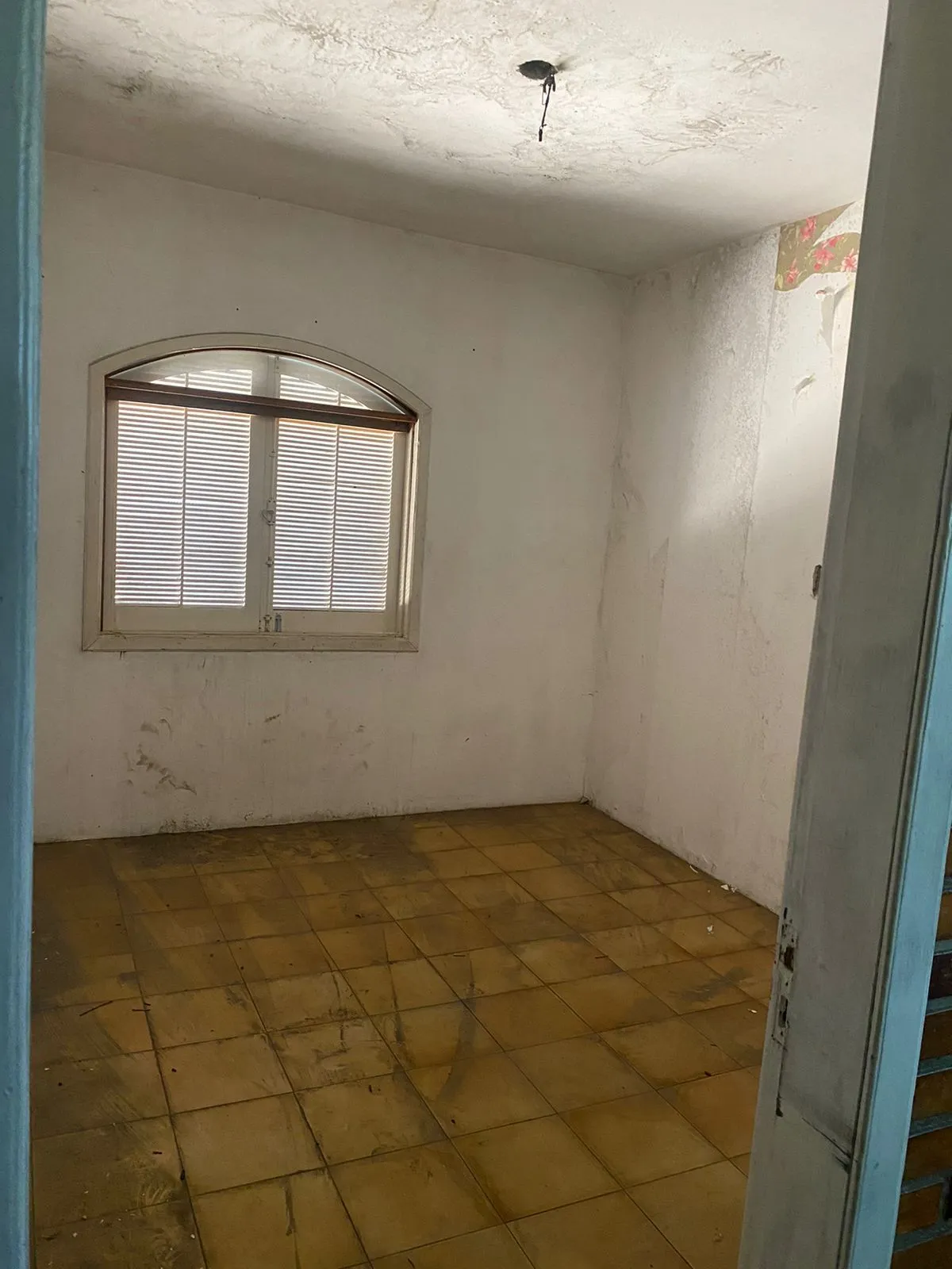 Imagem Terreno para Venda - 615m² Bairro Ipanema