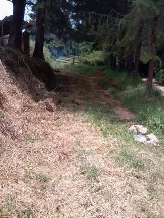 Imagem Sítio Joanópolis 11 alqueires pasto riacho escritura!!
