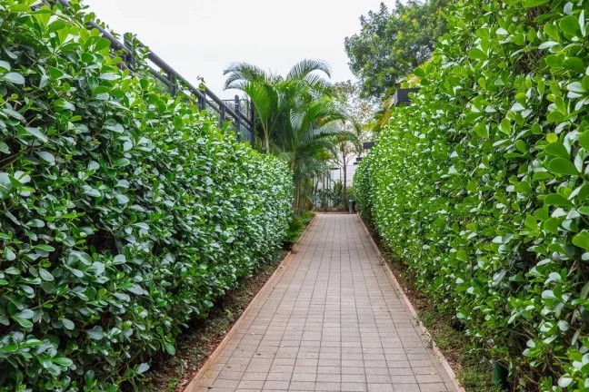 Imagem Apartamento à venda em São Paulo, Pinheiros, com 2 quartos, 71,5m2