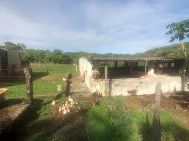 Imagem Excelente Fazenda em Funilândia/MG 112 hectares de terra