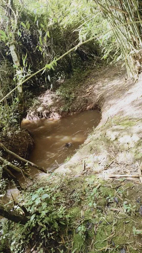 Imagem Excelente Terreno à Venda em Desterro de Entre Rios: 15 Hectares Totalmente Plano