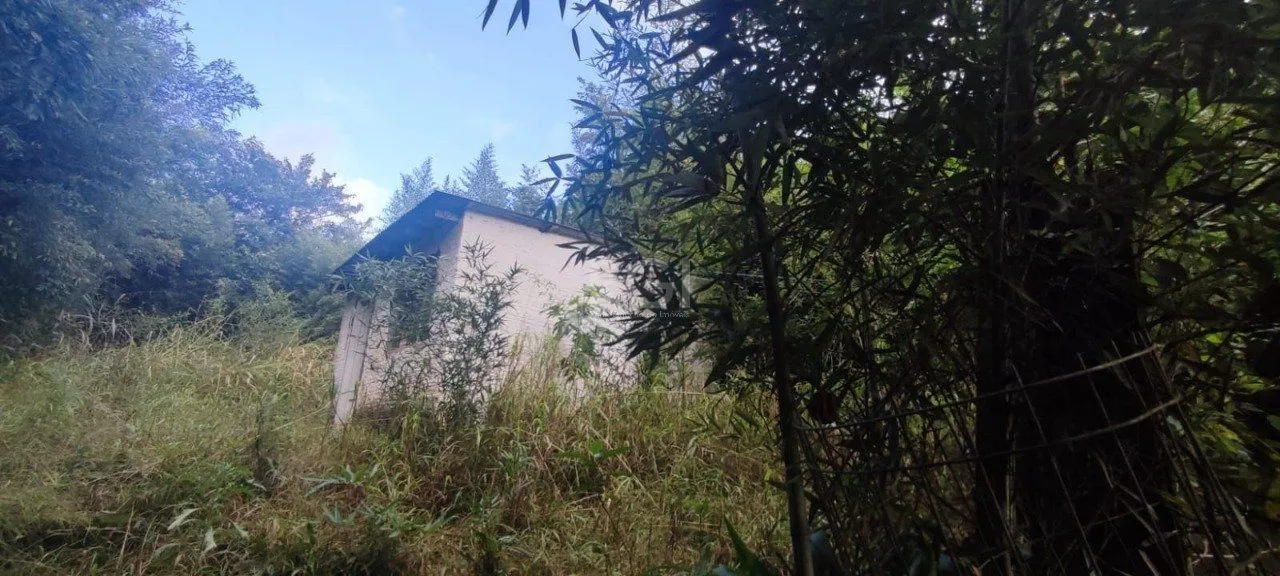 Imagem Terreno no bairro Nonoai