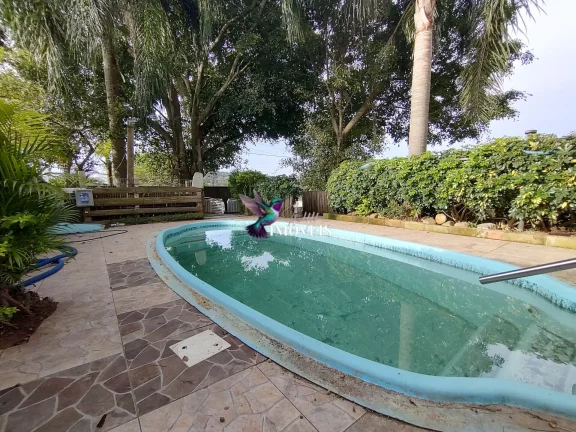 Imagem Casa à venda no bairro Ermo em Guaíba/RS