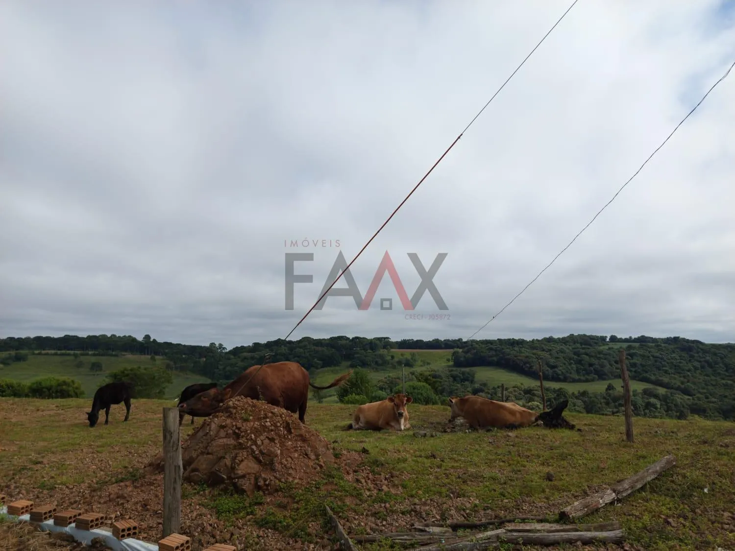 Imagem Chácara com 2.1 alqueires à venda, Guairacá, GUARAPUAVA - PR