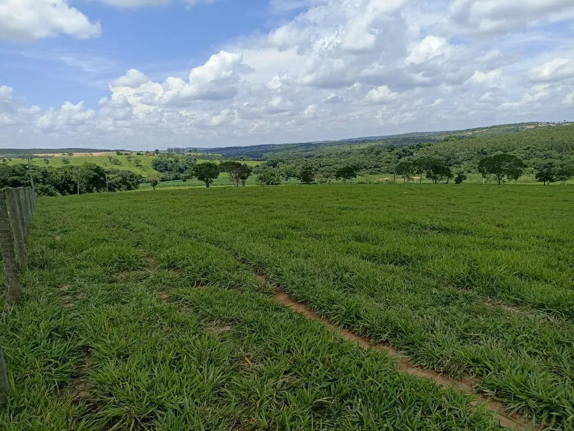 Imagem Terreno a venda de 24,3 hectares às margens do Rio Picão