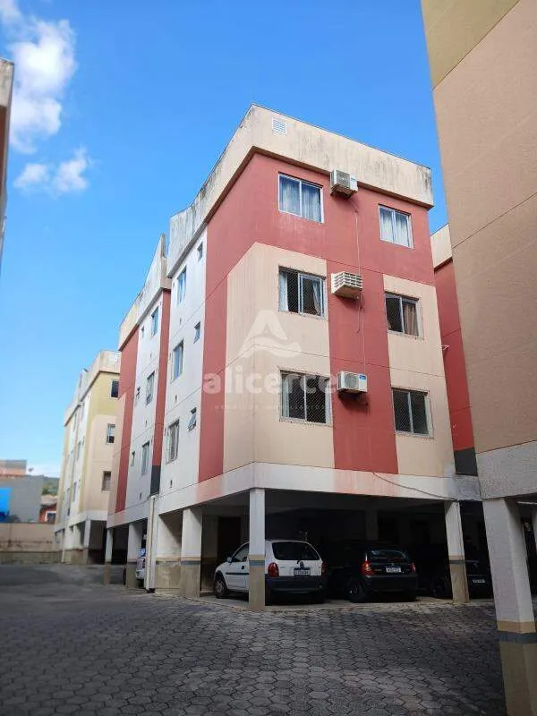 Imagem Apartamento reformado, sol da manhã, com 2 dormitórios no Real Parque
