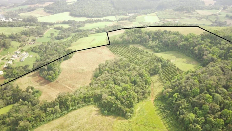 Imagem Área Agrícola para Venda em Concórdia, Rural