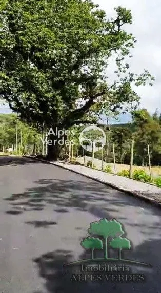 Imagem Oportunidade para Investidores Terreno à venda em Canela/RS