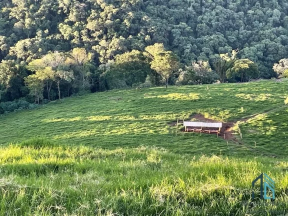 Imagem Sítio lindo a venda em ótima localização linha União da Serra em Guaraniaçu - PR