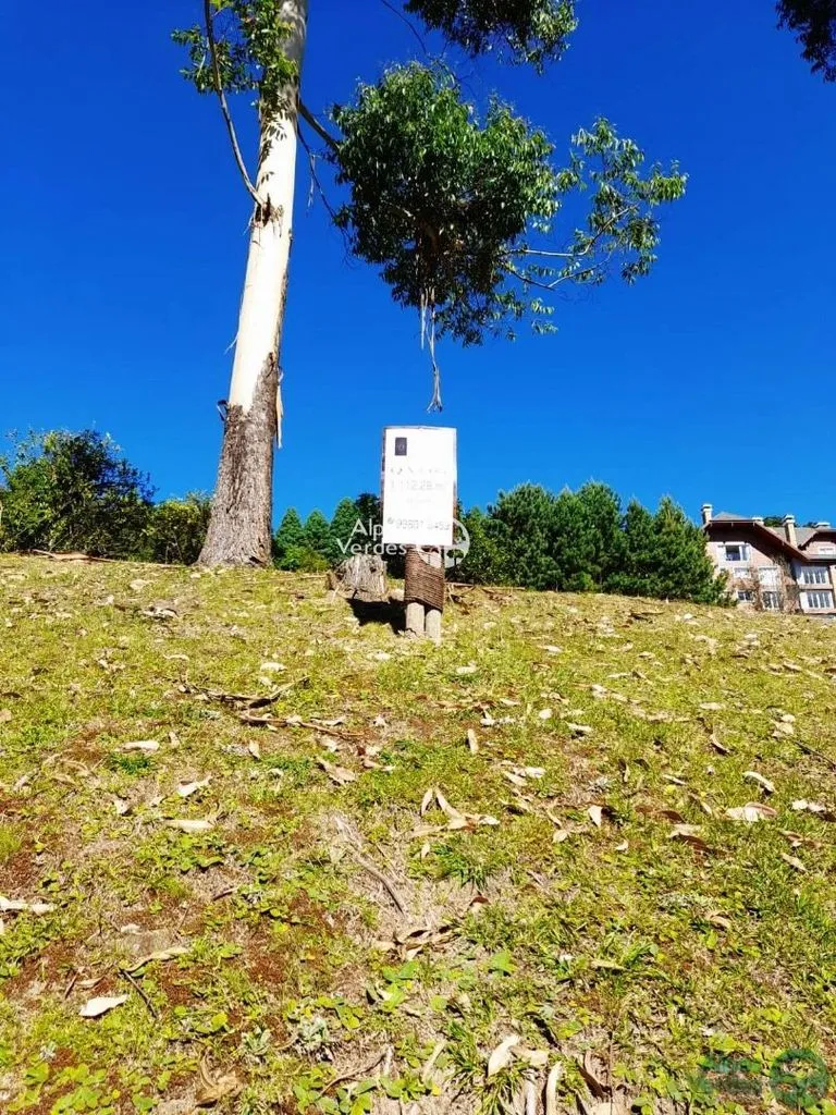Imagem Área à venda, 1112 m2 por R$ 2.500.000,00 - Bosque - Canela/RS