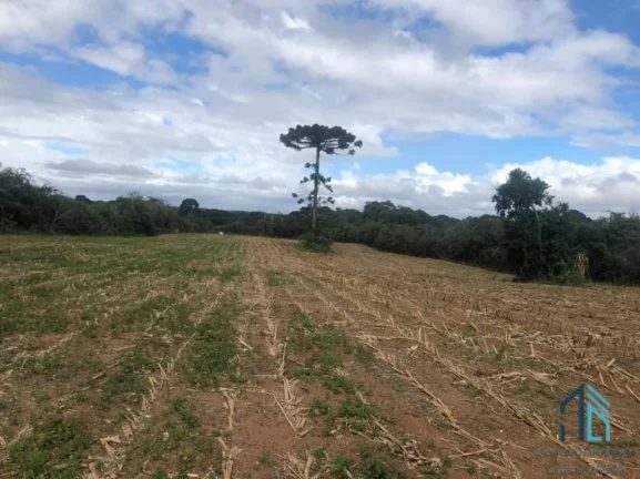 Imagem (PERMUTA) Terreno Industrial/Comercial podendo fazer 12 lotes para construção de 12 Barracões de mil metros cada em Curitiba PR