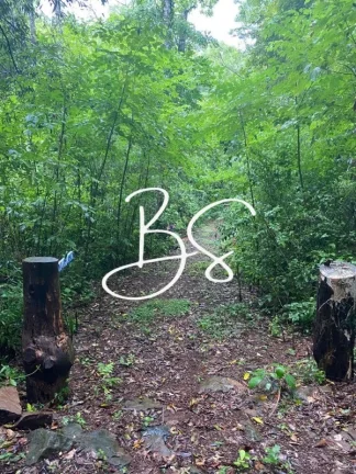Imagem SITIO RURAL em TRÊS COROAS - RS, RS020