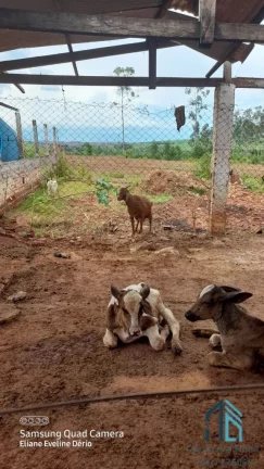 Imagem Chácara a venda 36.000m2, Cidade de Mirador - PR próximo a Paranavaí PR