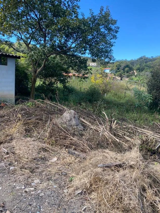 Imagem Chácara à venda em Bonfim/MG com 3.000 m² de area