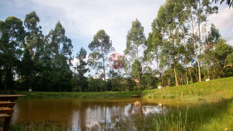 Imagem Terreno em Condomínio - Reserva Floresta do Lago