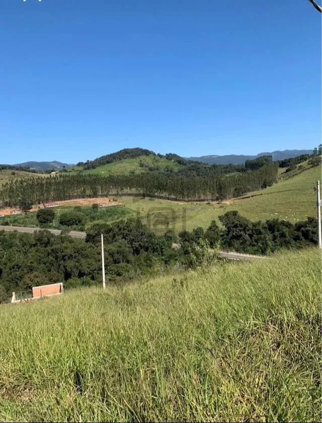 Imagem Chácara 692 m² à venda em Rio Pardo, Bandeira do Sul